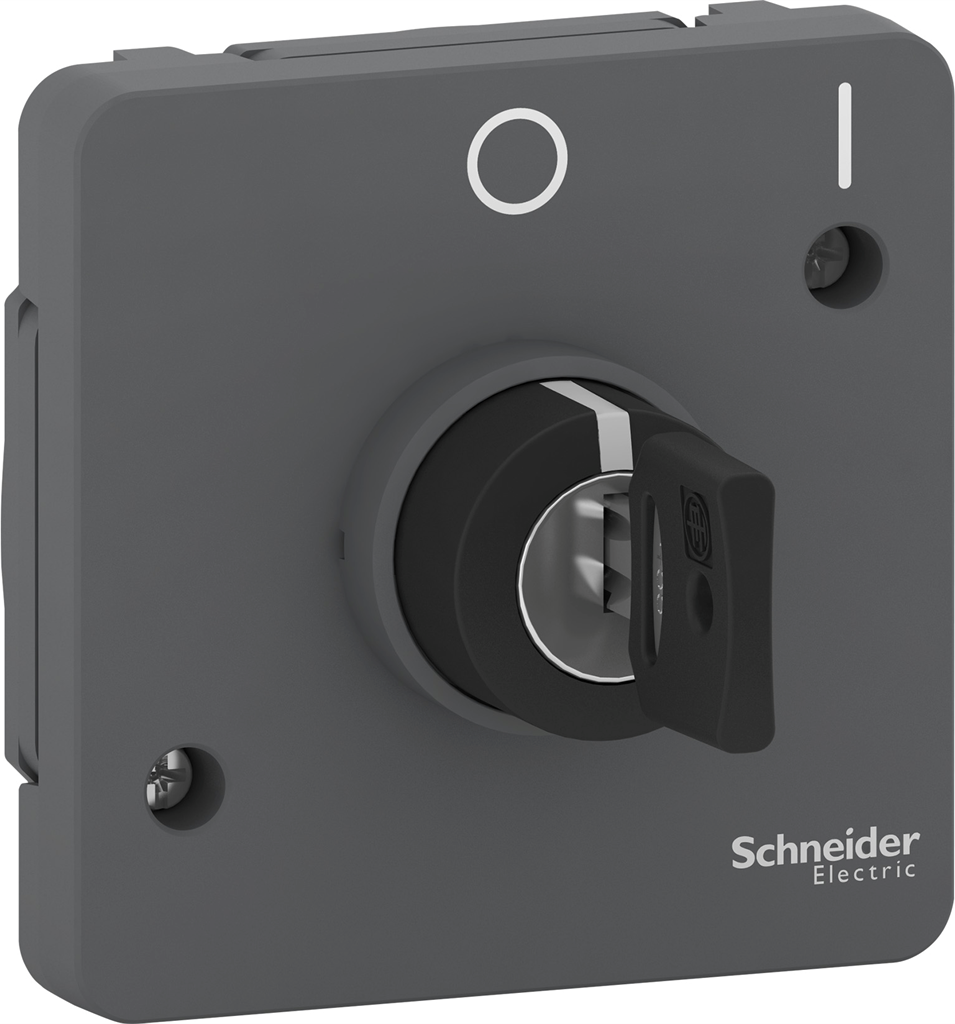 Ключ двупозиционен механизъм със секретен ключ IP55 цвят Антрацит Mureva SE