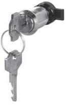 Ключалка секретна за табло серия Domino IP66 с два ключа Scame