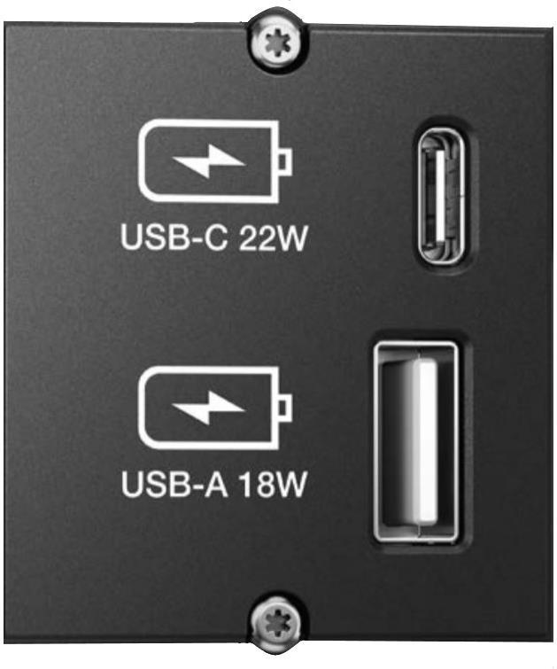 Модул CM с USB A+C (за зареждане), с кабел 0.2м, цвят Черен, Bachmann
