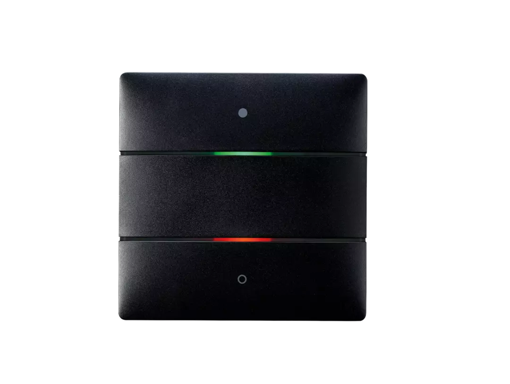 Пулт за управление iON2 BK 2х бутона LED цвят Черен LUXORliving Theben