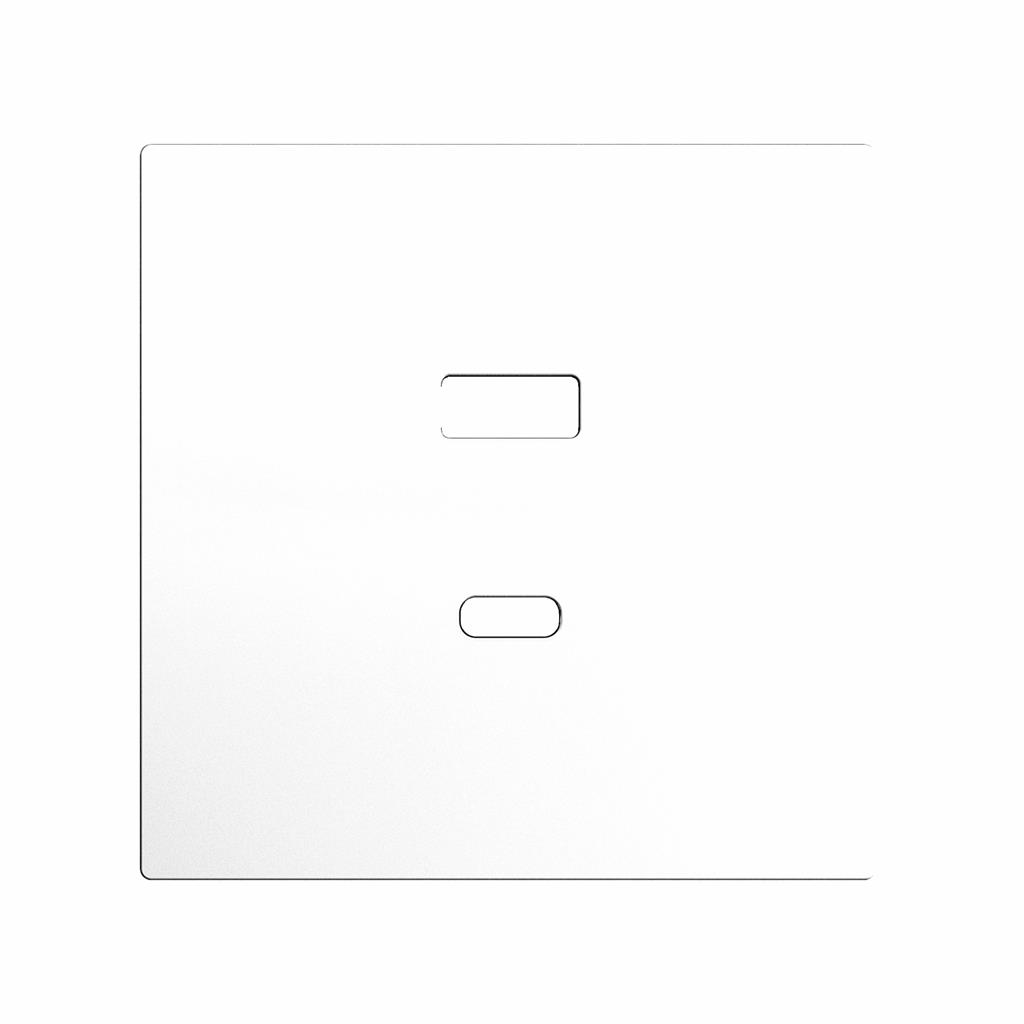 Лицев панел за розетка 2xUSB ZS70 цвят Бял Zennio