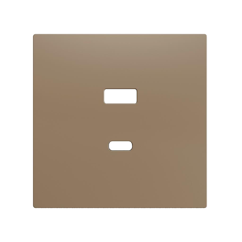 Лицев панел за розетка 2xUSB ZS70 цвят Шампанско Zennio