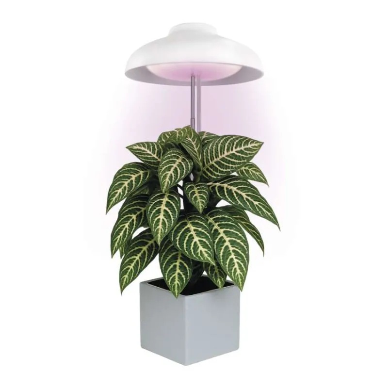 Лампа за растения LED 5W 3500K 235lm 25000h IP20 USB A с таймер UMBRELLA EMOS