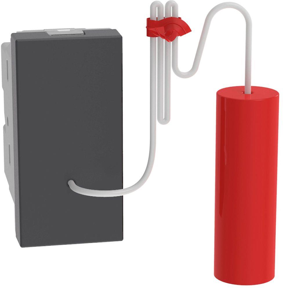 Бутон с шнур 1 мод. цвят Графит Light Now Bticino