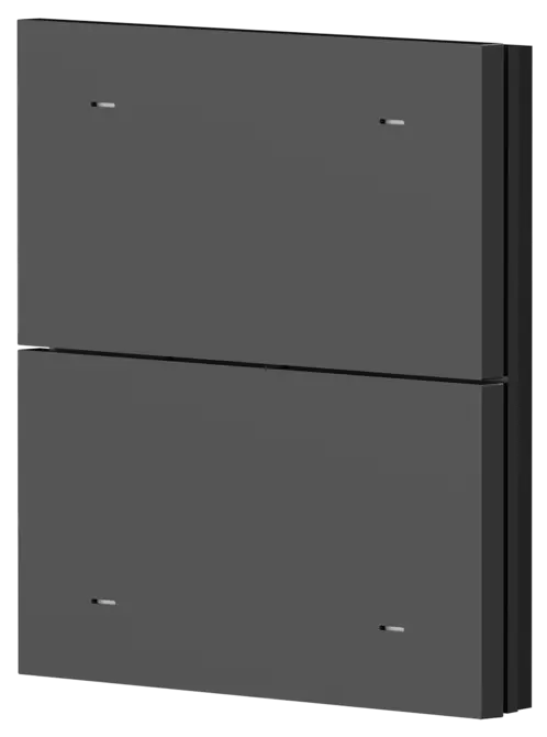 Лицев панел за 2 бутона iONprime PB 2R PBK Черен Theben
