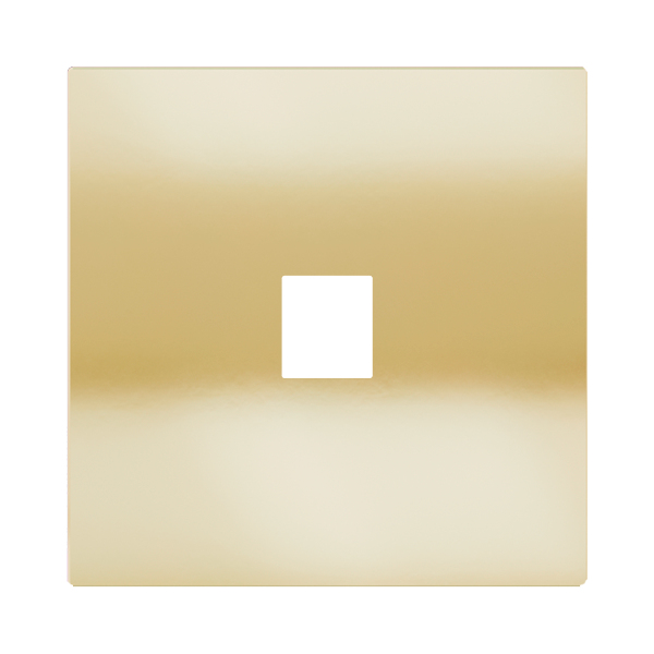 Магнитна рамка за 1 Keystone модул Proxima Metal Champagne EKINEX