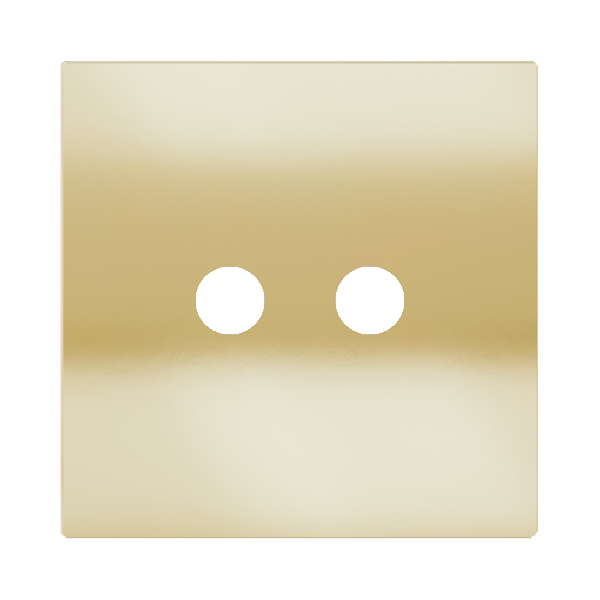 Магнитна рамка за 2 бутона Proxima Metal Champagne EKINEX