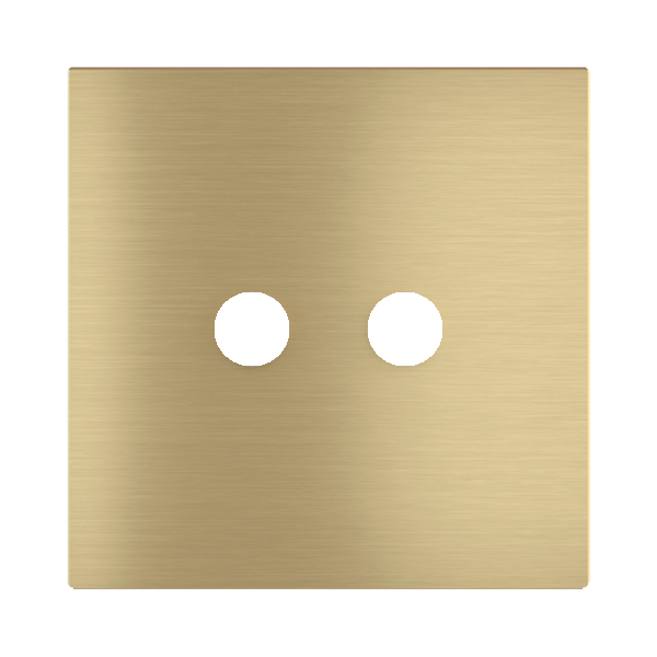 Магнитна рамка за 2 бутона Proxima Metal Brass EKINEX